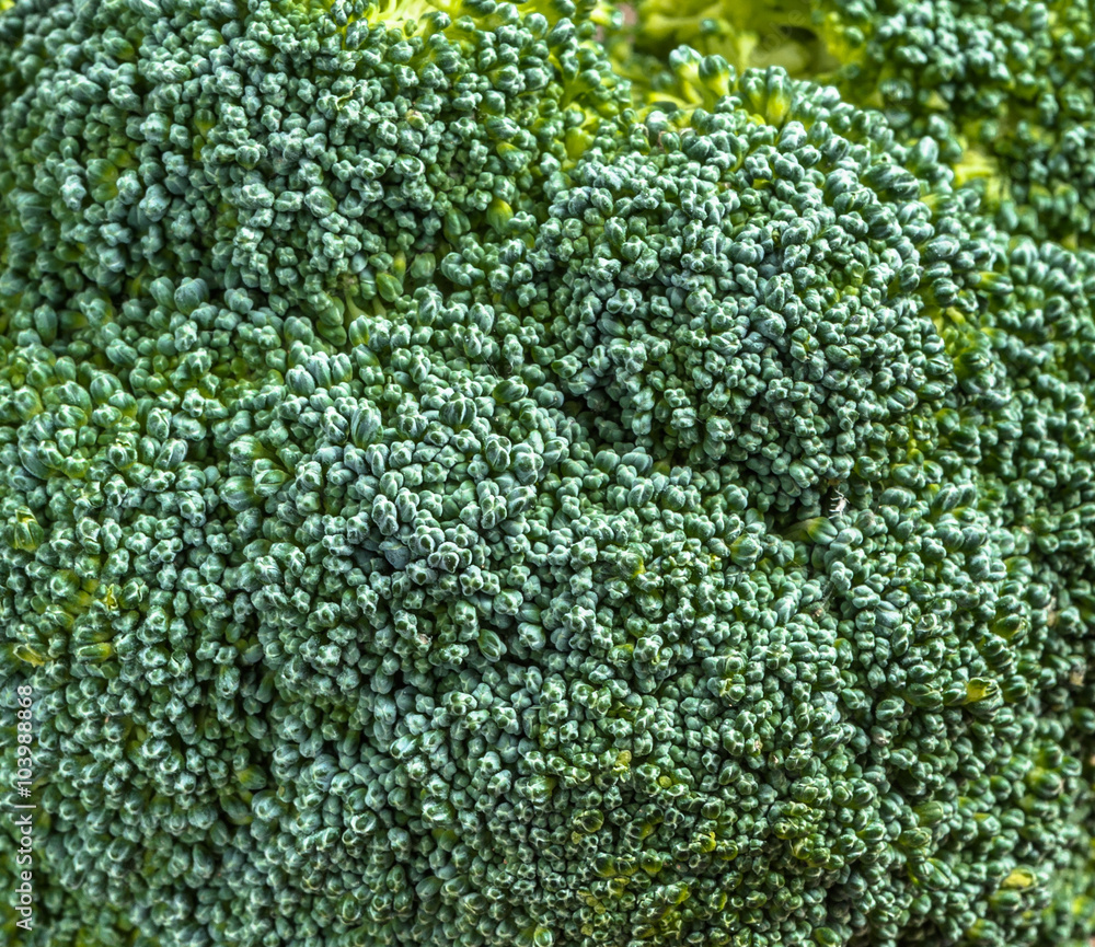Macro of broccoli texture background.