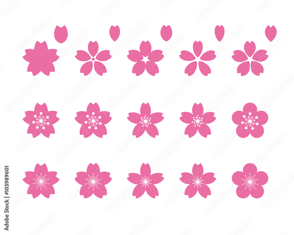 桜の花 桜の花