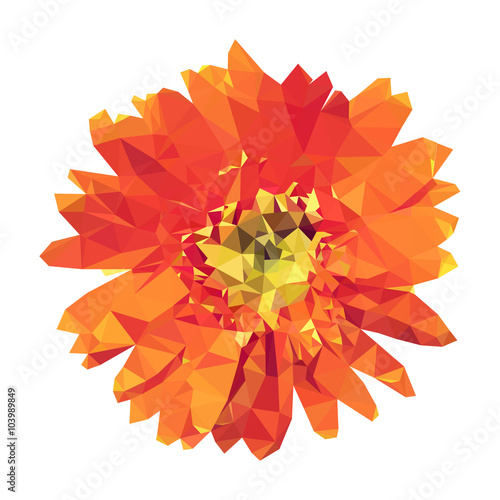 polygonal orange yebera, poly low geometric flower, vector