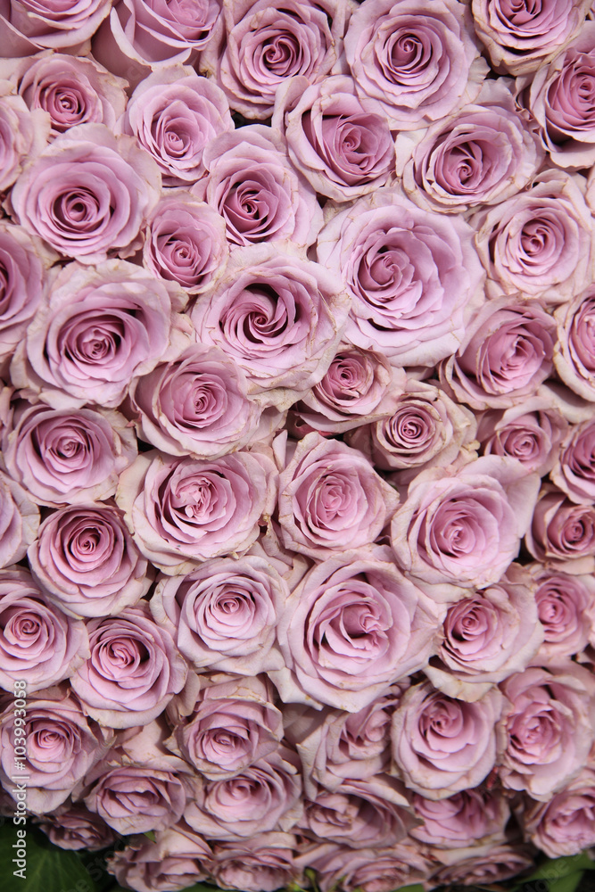 Purple rose wedding arrangement Purple rose wedding arrangement