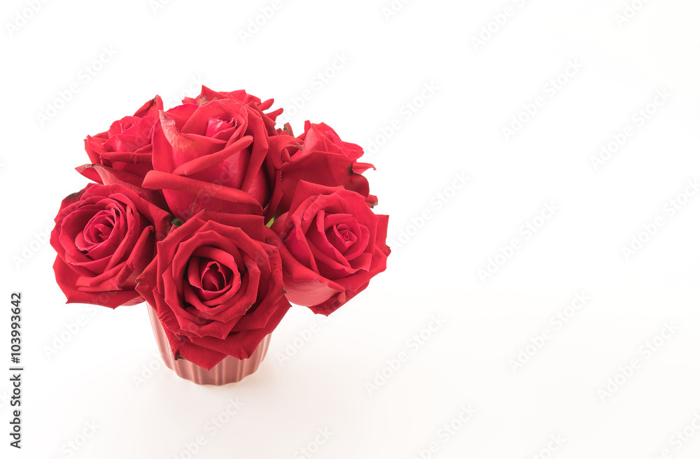 red rose red rose