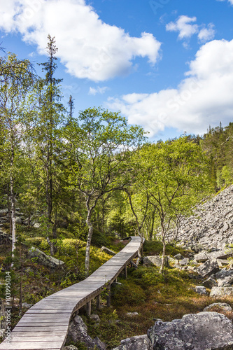 Wanderpfad im Pyh  -Luosto National Park - Finnland 8