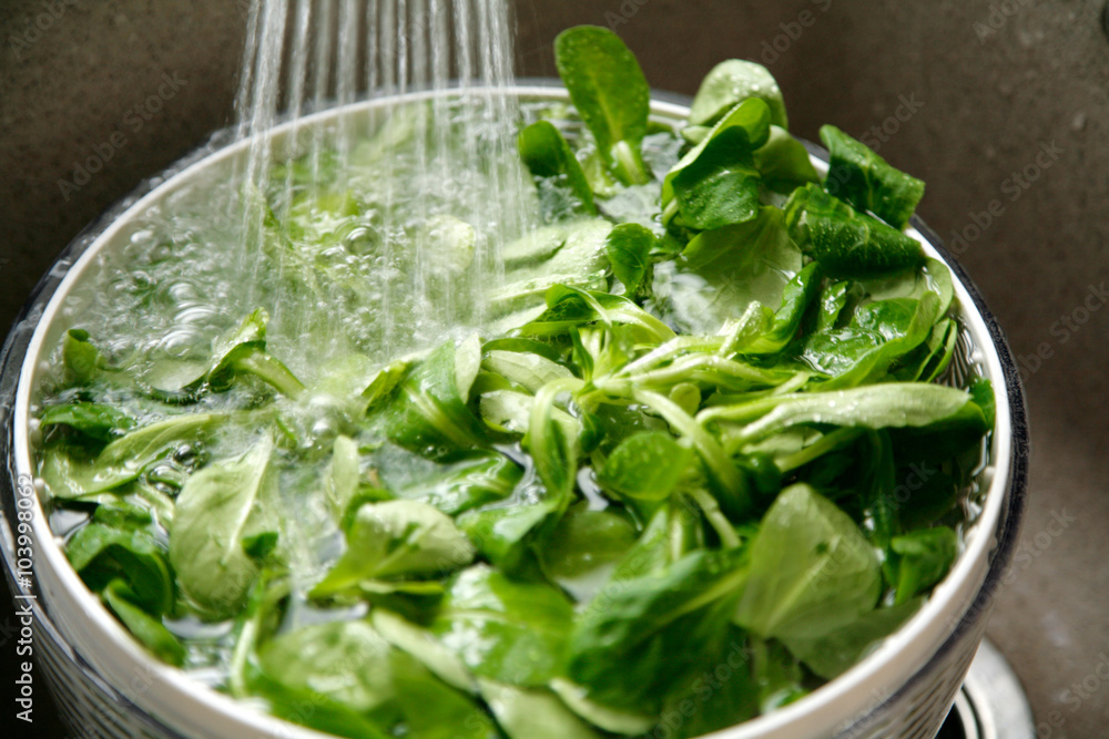 Fresh green lettuce in a bowl of water Fresh green lettuce in a bowl of water
