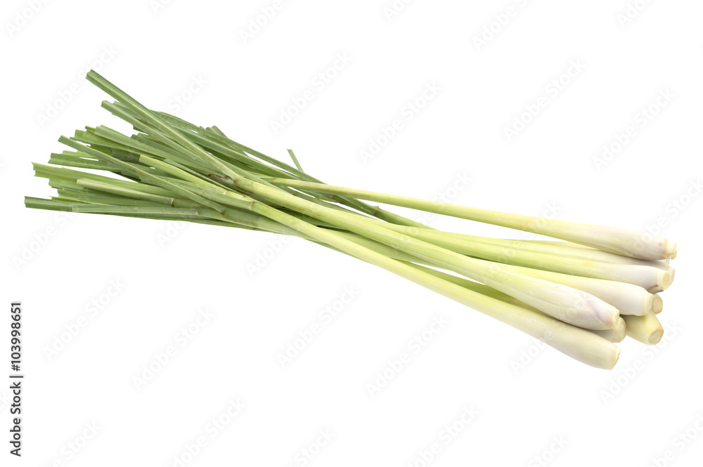 Fresh Lemongrass (citronella) isolated on white background, with Fresh Lemongrass (citronella) isolated on white background, with