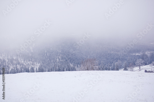 Snow-covered Carpathian mountains foggy winter morning. Ukraine © Oleksii Nykonchuk