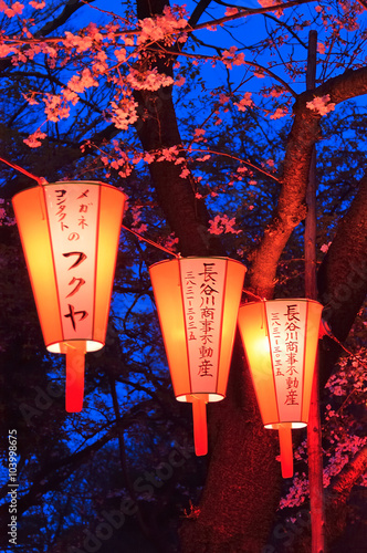 Wallpaper Mural Cherry-Blossom Viewing (O-Hanami) Festival Torontodigital.ca