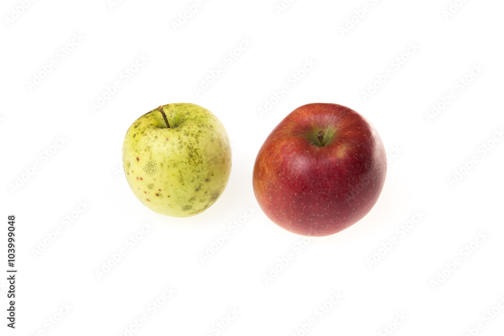 Two apples, young and old as a metaphor for aging. On a white background. Two apples, young and old as a metaphor for aging. On a white background.