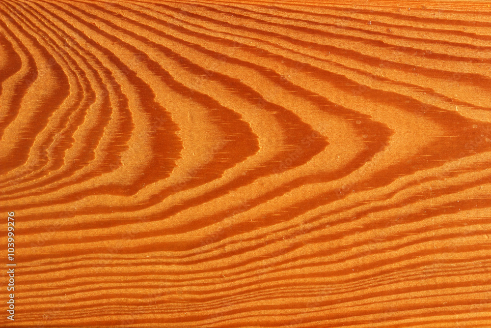 Texture of wood. Texture of wood.