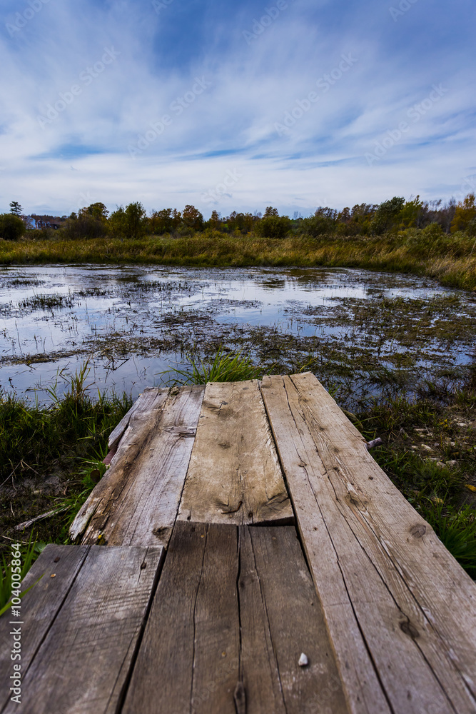 litty jetty on pond for scenic photos litty jetty on pond for scenic photos