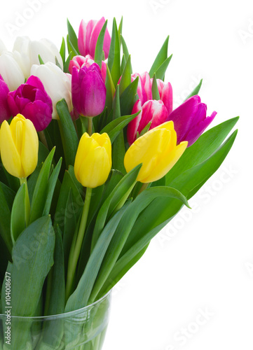 bouquet of  pink  purple and white  tulips
