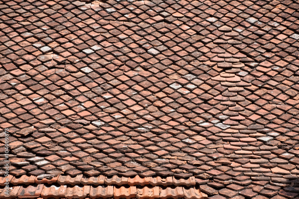 tile tile