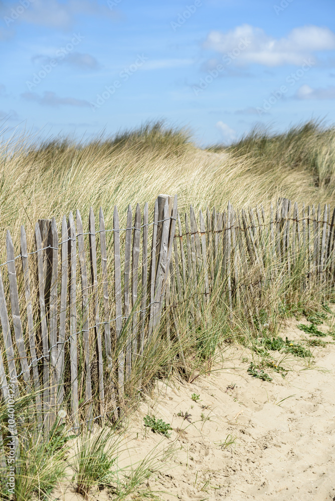 Dünen, blauer Himmel und ein Zaun an der Nordsee in Blankenberge, Belgien.