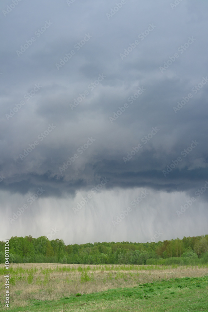 Rain in the nature. Thunderstorm over forest. Rain in the nature. Thunderstorm over forest.