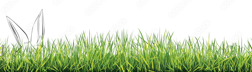 Hase im Gras Hase im Gras