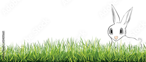 Hase im Gras