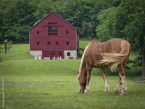 Horse and Red Barn: A horse grazing in a green pasture with a large red barn in the distance