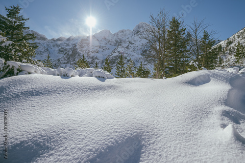 Morning winter calm mountain landscape with beautiful fir trees on slope (High Tatra Mountains, Poland)