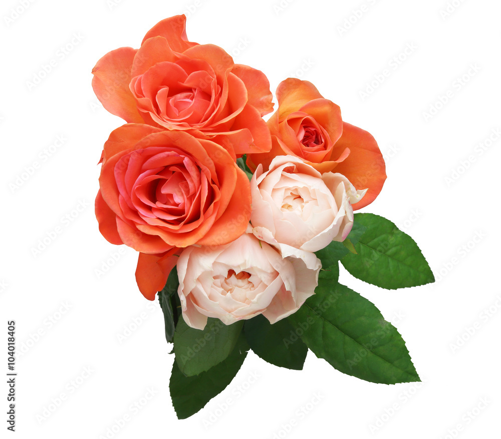 Naklejka premium 薔薇