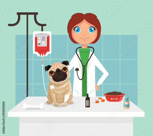 Veterinarian. Vetor flat illustration