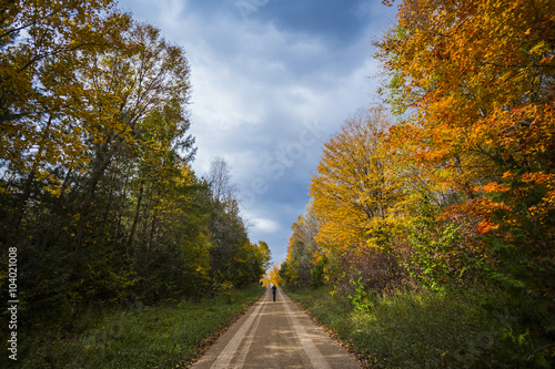 the view down a scenic country roadway in autumn landscape