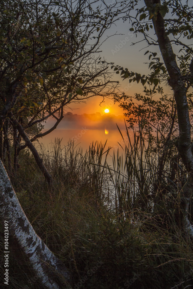 Fototapeta premium sunrise over untouched lake