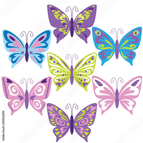 Butterfly vector illustration 