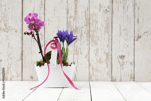 Fototapeta Naklejka Na Ścianę i Meble -  springtime, iris and orchid flowers in basket on wooden white 