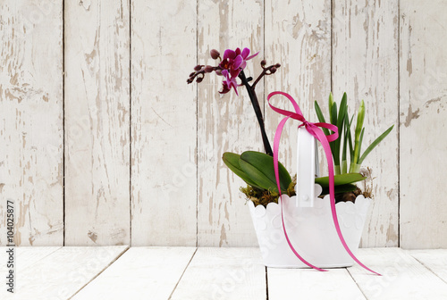 Fototapeta Naklejka Na Ścianę i Meble -  springtime, iris crocus and orchid flowers in basket on wooden white