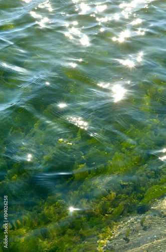 Принти на полотні Natural background of transparent sea water.