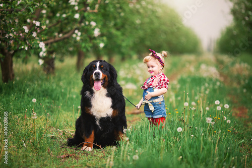 baby girl with dog bern in spring garden