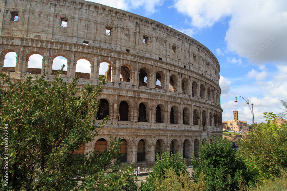 Colosseum View with Trees