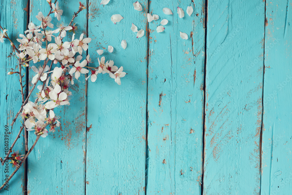 image of spring white cherry blossoms tree on blue wooden table
