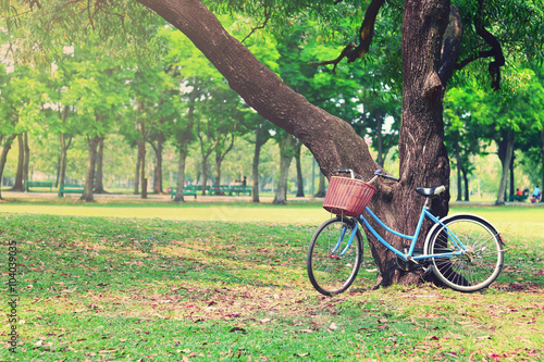 Vintage bicycle waiting near tree in the park © pimonpim