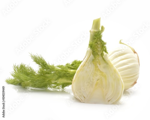 organic fennel on a white background