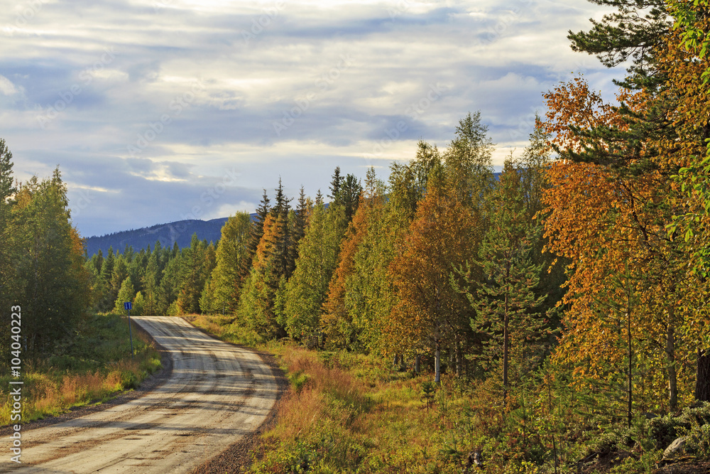 Fototapeta premium Road among autumn forest