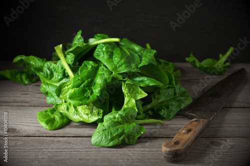 Pile of spinach savoy