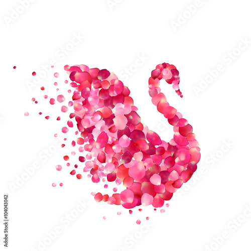 swan of pink rose petals isolated on white