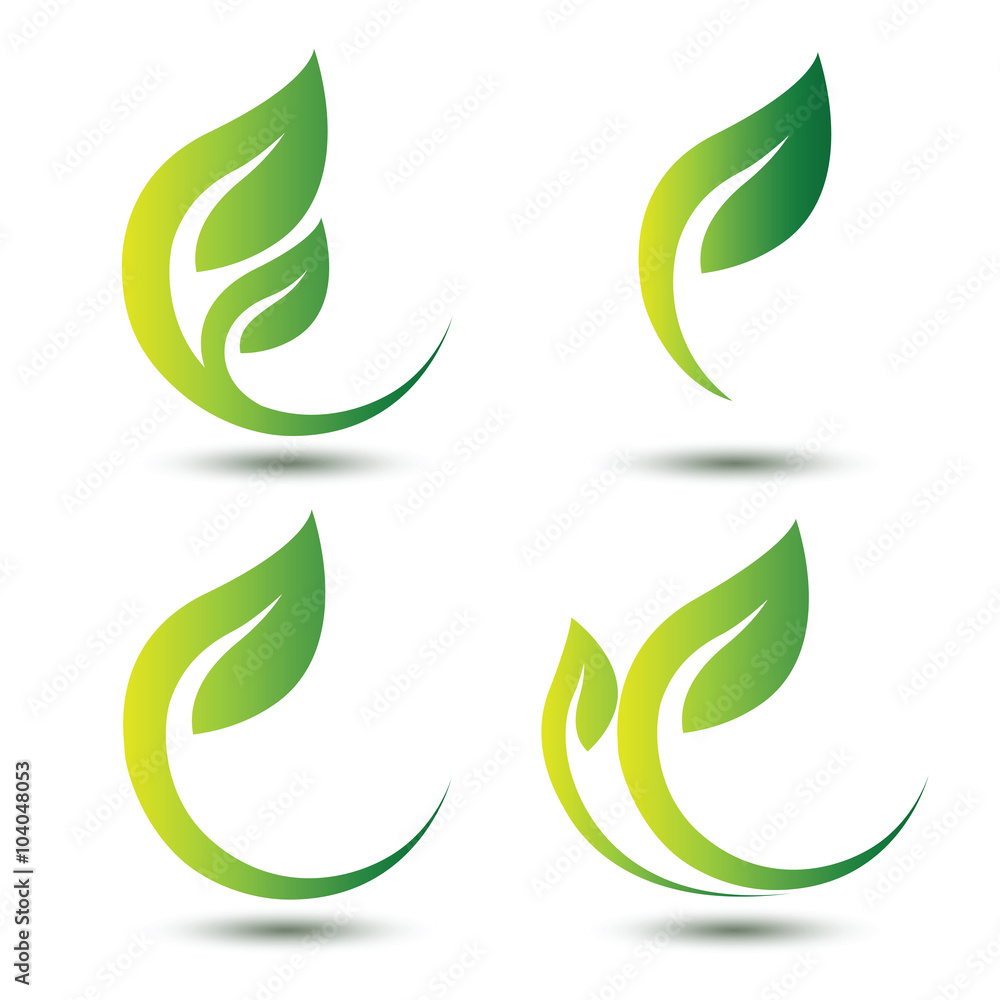 green leaf green leaf