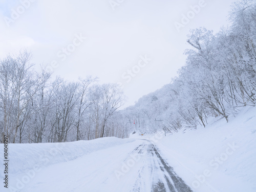 峠の雪景色 © hoshi