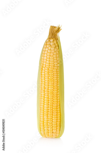 Corn on white background