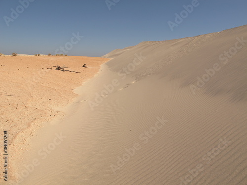 dramatic eucla sand dunes  western australia  