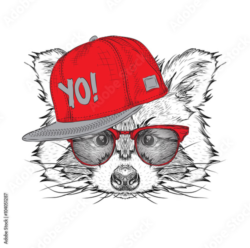 The poster with the image raccoon portrait in hip-hop hat. Vector illustration.