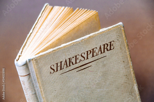 Obraz na plátně An old book by Shakespeare