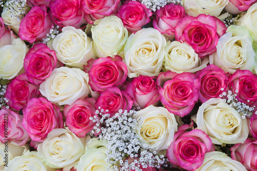 Big bunch of pink and white roses