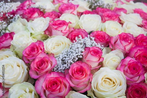 Big bunch of pink and white roses