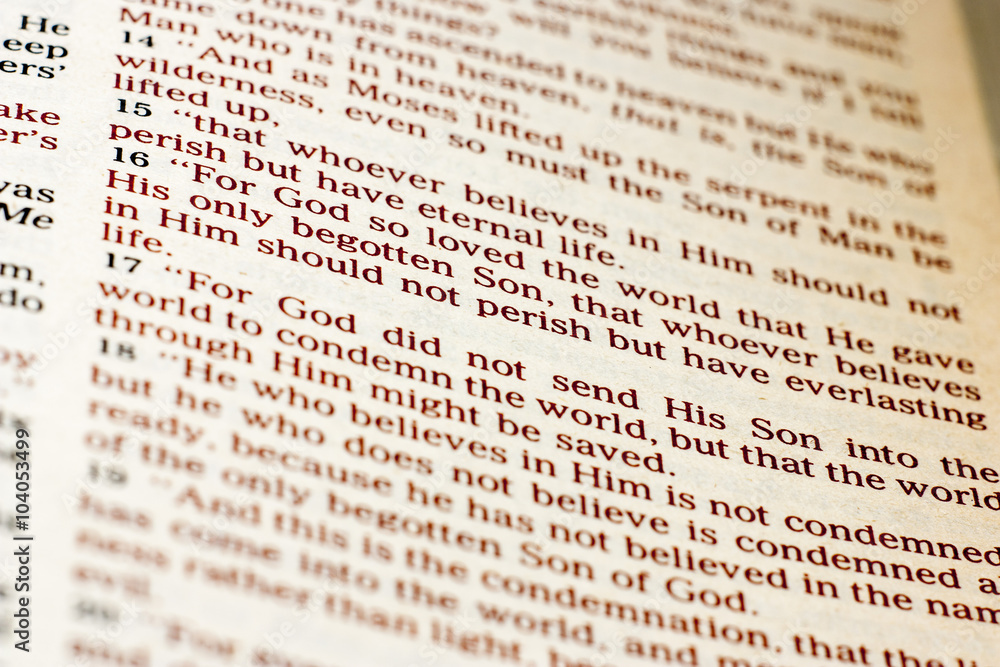 Naklejka premium John 3:16