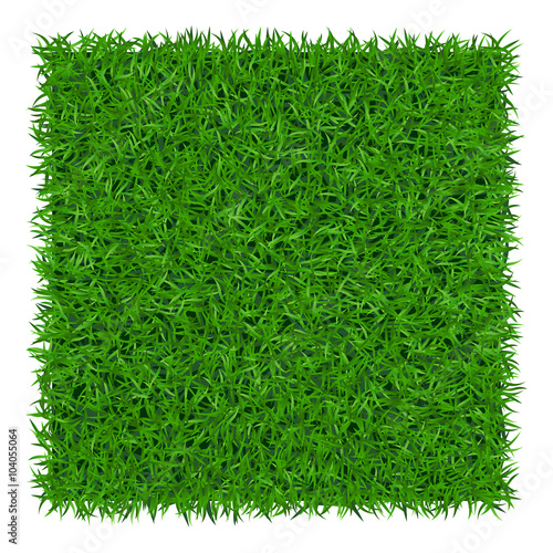 Green grass background. Lawn nature. Abstract field texture. Symbol of summer, plant, eco and natural, growth or fresh. Design for card, banner. Meadow template for print products. Vector Illustration