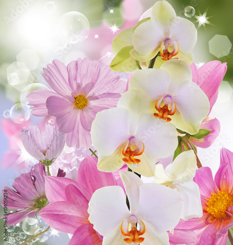 Beautiful exotic flower orchid on abstract nature background