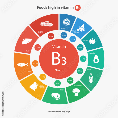 Foods high in vitamin B3. Vitamin content of foods. Healthy lifestyle and diet vector illustration infographics with food icons.