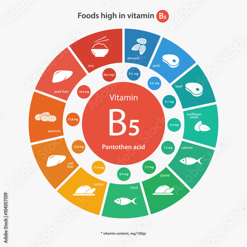 Foods high in vitamin B5. Vitamin content of foods. Healthy lifestyle and diet vector illustration infographics with food icons.